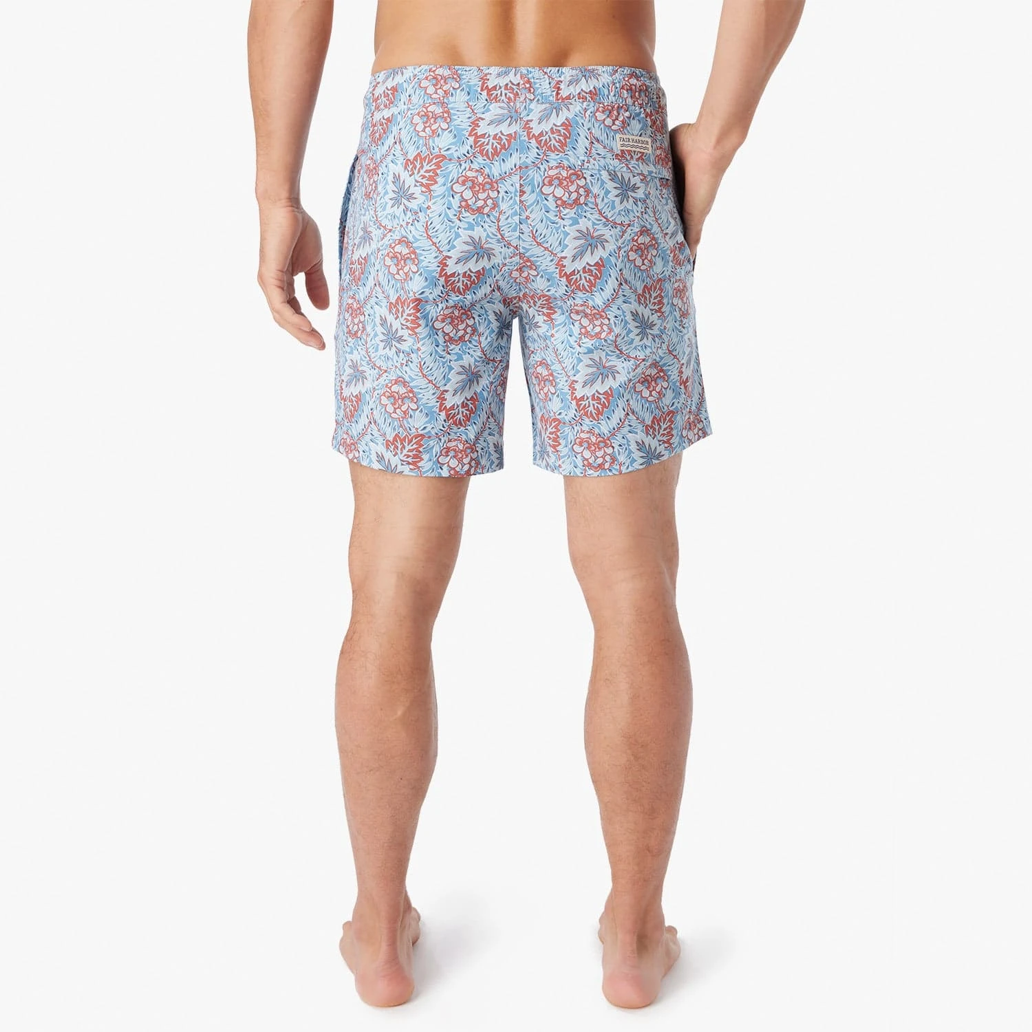 The Bayberry Trunk | Sky Blue Beach Forest 5 The Bayberry Trunk | Sky Blue Beach Forest - Image 5