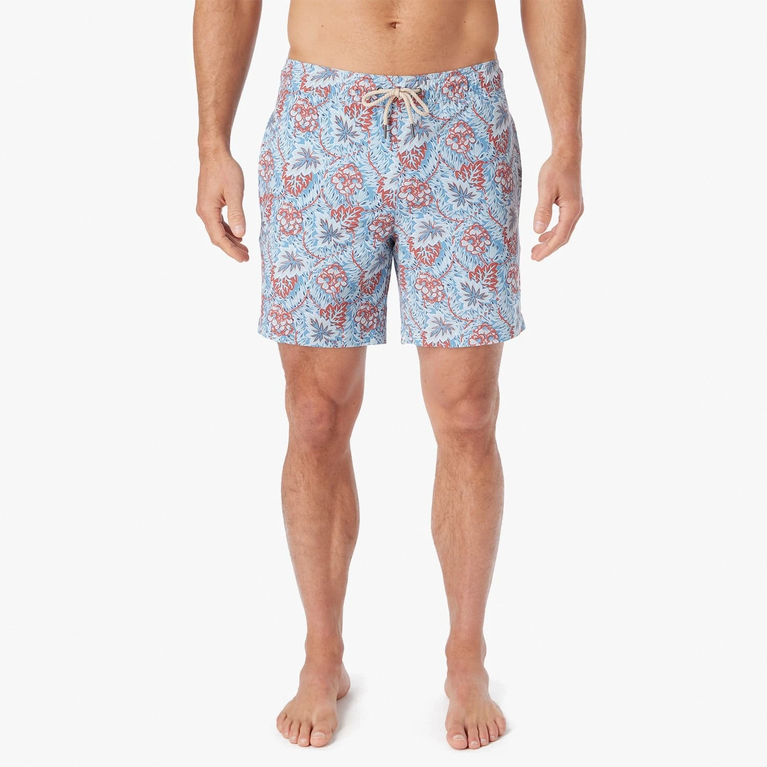 The Bayberry Trunk | Sky Blue Beach Forest 6 The Bayberry Trunk | Sky Blue Beach Forest - Image 6