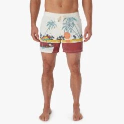 The Bungalow Trunk | Beach Sunset -Fair Harbor Shop BGL5 981 Beach Sunset ONFIG 020