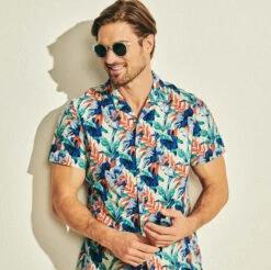 Sunski Dipsea Clear Forest | Dipsea Clear Forest -Fair Harbor Shop CLEARONFIG b91e63bd 110b 4e8f 9531 e38740e756e5